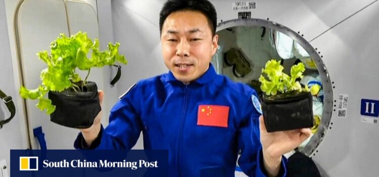 China’s Tiangong research generates oxygen, rocket fuel in major space exploration leap