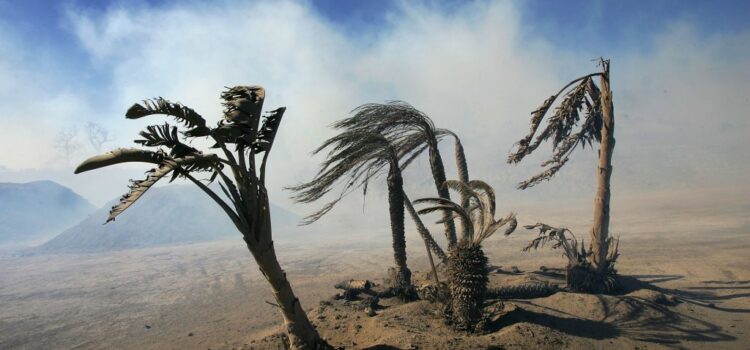 Los Angeles Braces For Another Santa Ana Event With Gusts To 100 MPH