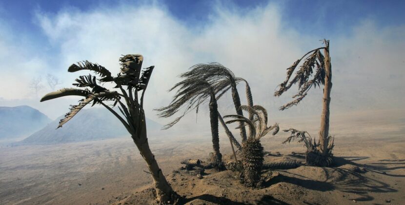 Los Angeles Braces For Another Santa Ana Event With Gusts To 100 MPH