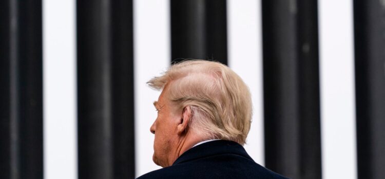 Trump to issue 10 executive orders on immigration upon taking office