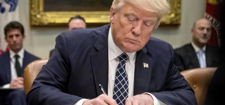 What are executive orders and how is Trump using them?