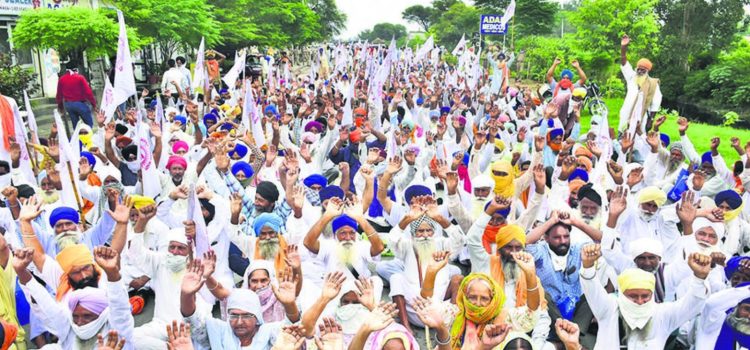 Centre sets up farm distress index to ensure timely crisis aversion | Latest News India