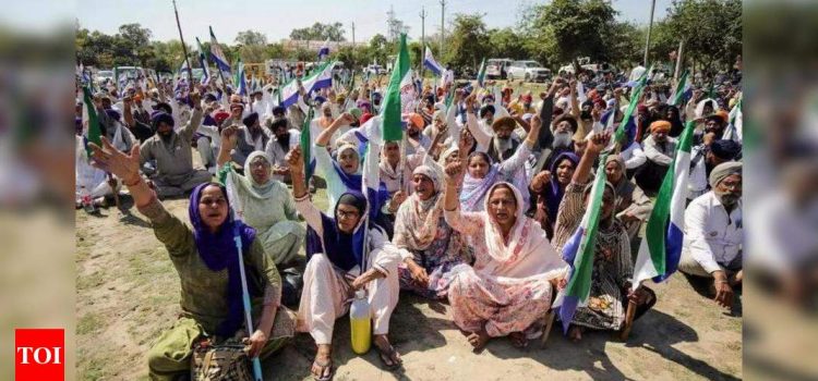 Punjab cops looted from protest sites, say farmers | India News