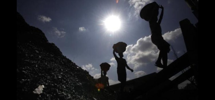 Govt report flags dependence on coal for energy requirements | Latest News India