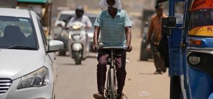 Consult workers on devising effective heat action plans: Harvard researchers | Latest News India