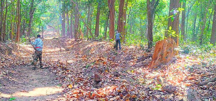 Uttarakhand looks to revive British-era firelines | Latest News India