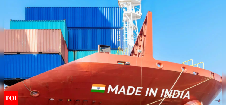 Government lists exporters’ feedback: US 2nd biggest source of curbs | India News