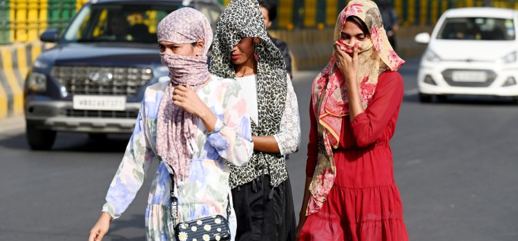 Heatwave conditions to grip north India; 42 deg Celsius forecast for Delhi | Weather updates | Latest News India
