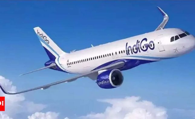 Amid anti-Ankara sentiments, IndiGo defends Turkish tie-up | India News