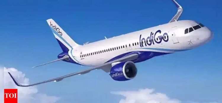 Amid anti-Ankara sentiments, IndiGo defends Turkish tie-up | India News