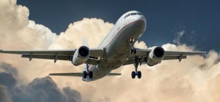 A Big Bird’s Eye View | Latest News India