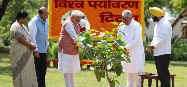 PM Narendra Modi launches Aravalli Green Wall Project | Latest News India