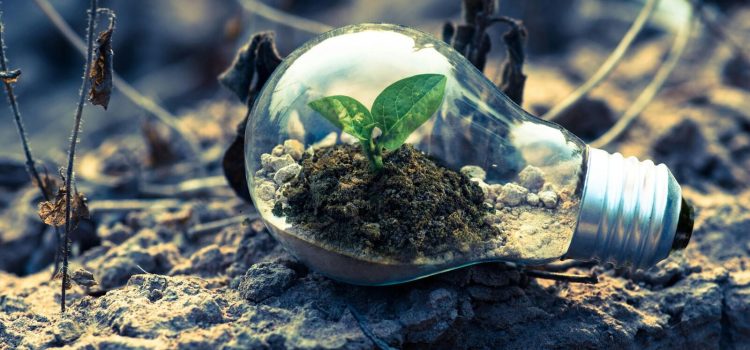World Environment Day 2025: India has slew of regulations to protect Blue Planet. Know about them