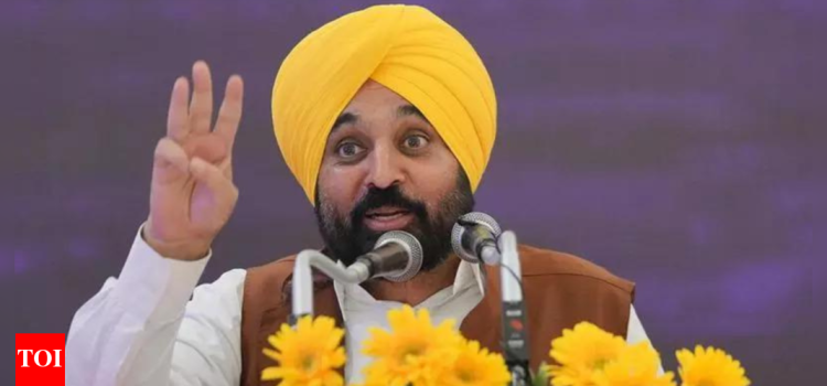 ‘Doesn’t behove state authority’: MEA rebukes Punjab CM Mann over PM Modi statement; calls remarks ‘irresponsible’ | India News