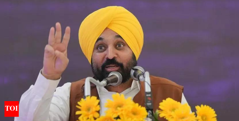 ‘Doesn’t behove state authority’: MEA rebukes Punjab CM Mann over PM Modi statement; calls remarks ‘irresponsible’ | India News