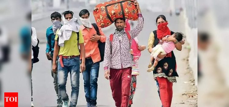 Telangana represents India in ILO meet on labour welfare | Hyderabad News