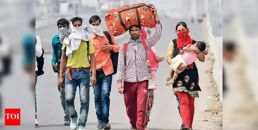 Telangana represents India in ILO meet on labour welfare | Hyderabad News