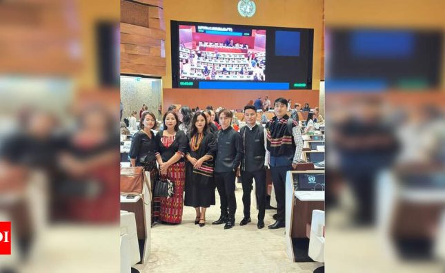 ZoRo slams India, Myanmar, B’desh govts for ‘UNDRIP violations’ | Guwahati News