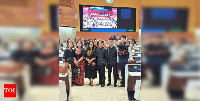 ZoRo slams India, Myanmar, B’desh govts for ‘UNDRIP violations’ | Guwahati News