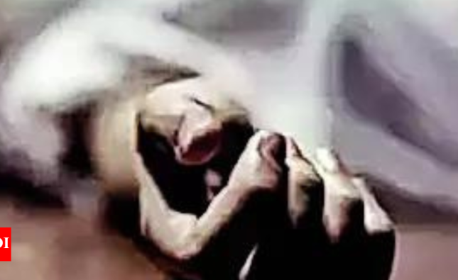 Woman dies as VDG member fires accidentally in Kishtwar | India News
