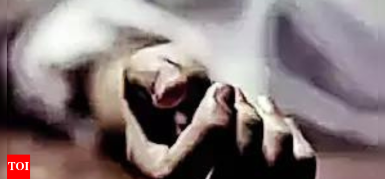 Woman dies as VDG member fires accidentally in Kishtwar | India News