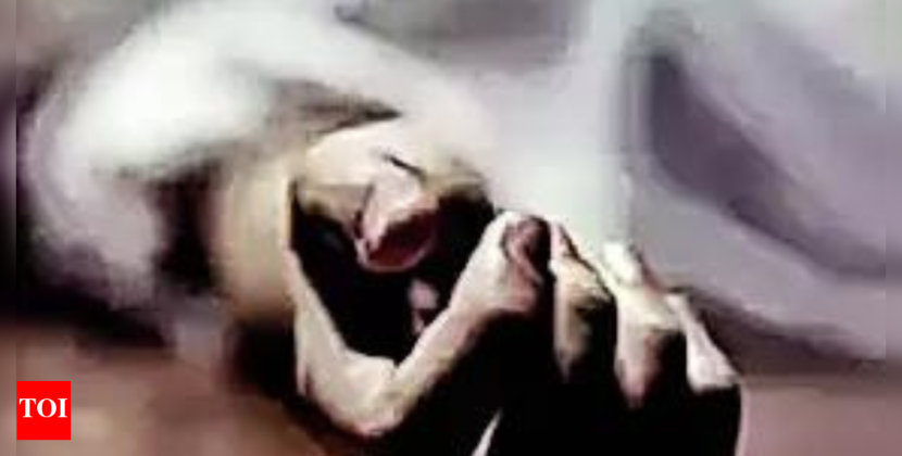 Woman dies as VDG member fires accidentally in Kishtwar | India News