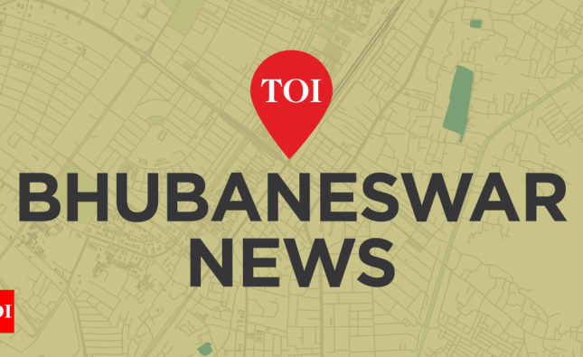 NE, central India most vulnerable to rain: IIT study | Bhubaneswar News