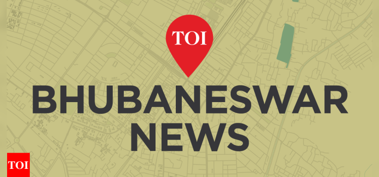 NE, central India most vulnerable to rain: IIT study | Bhubaneswar News