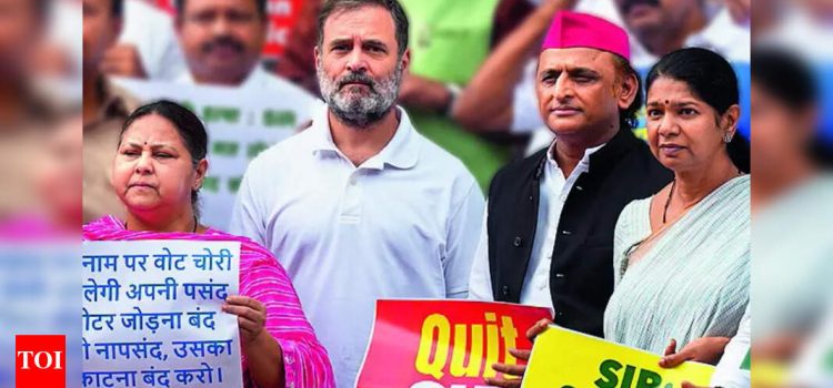Oppn protests rolls revision in Bihar, stalls House business | India News