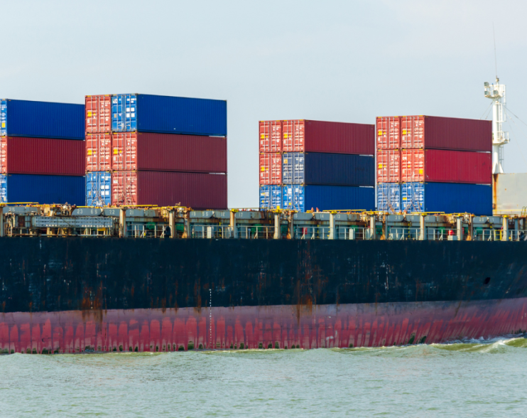 India, New Zealand start second round of FTA talks – Economy News