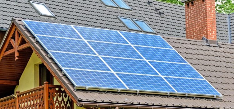 India Becomes Third-Largest Solar Energy Producer, Surpassing Japan | Business News